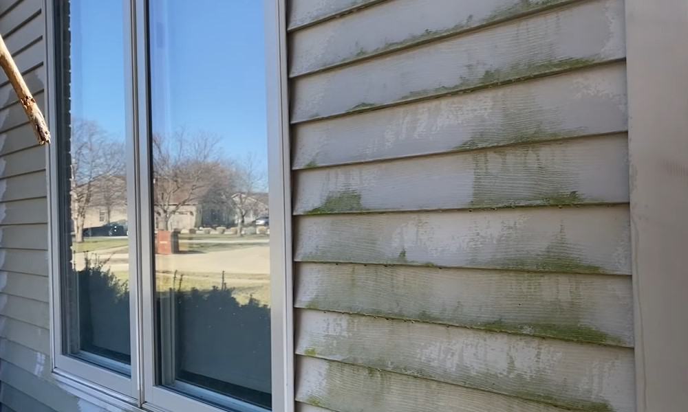 Preventing Algae on Your Home's Exterior: Tips and Tricks